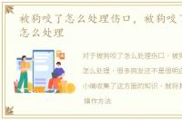 被狗咬了怎么处理伤口，被狗咬了怎么办怎么处理