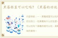 黑莓根茎可以吃吗？（黑莓的功效与作用）
