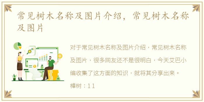 常见树木名称及图片介绍，常见树木名称及图片