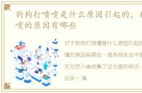 狗狗打喷嚏是什么原因引起的，狗狗打喷嚏的原因有哪些