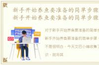 新手开始养鱼要准备的简单步骤有哪些，新手开始养鱼要准备的简单步骤