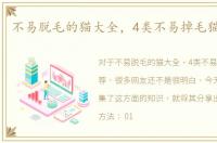 不易脱毛的猫大全，4类不易掉毛猫咪推荐