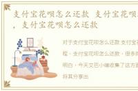 支付宝花呗怎么还款 支付宝花呗还款流程，支付宝花呗怎么还款