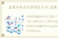 蓝魔手机忘记密码怎么办,蓝魔手机