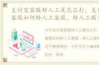 支付宝客服转人工是怎么打，支付宝我的客服如何转人工客服，转人工服务