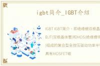 igbt简介_IGBT介绍