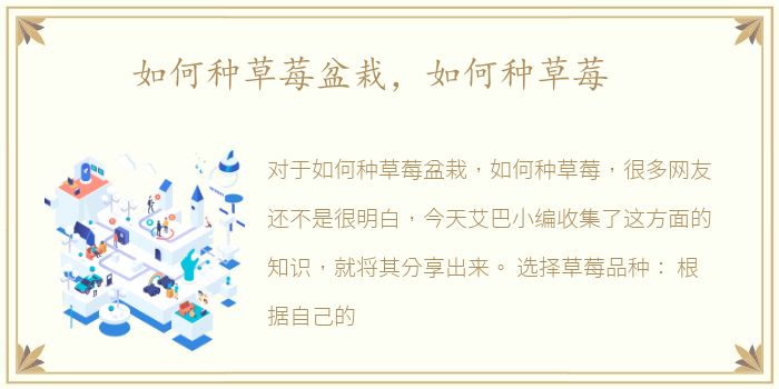 如何种草莓盆栽，如何种草莓