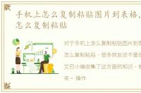 手机上怎么复制粘贴图片到表格，手机上怎么复制粘贴