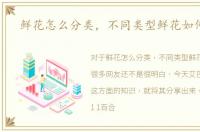 鲜花怎么分类，不同类型鲜花如何保鲜