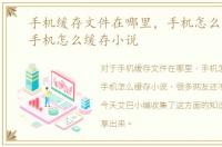 手机缓存文件在哪里，手机怎么找小说，手机怎么缓存小说