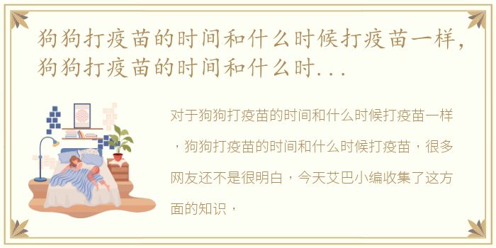 狗狗打疫苗的时间和什么时候打疫苗一样，狗狗打疫苗的时间和什么时候打疫苗