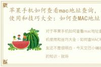 苹果手机如何查看mac地址查询，苹果手机使用和技巧大全：如何查MAC地址