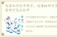 迅雷如何打开种子，迅雷bt种子怎么用_迅雷种子怎么打开
