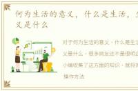 何为生活的意义，什么是生活，生活的意义是什么