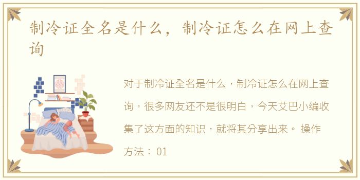 制冷证全名是什么，制冷证怎么在网上查询