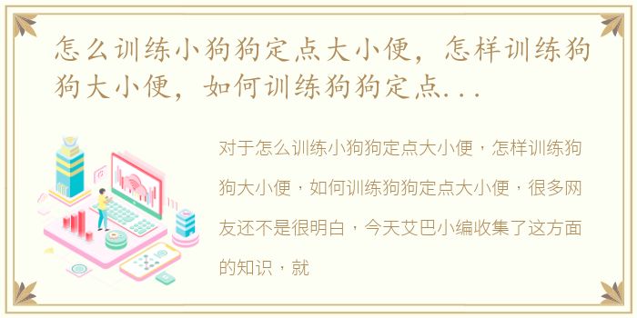 怎么训练小狗狗定点大小便，怎样训练狗狗大小便，如何训练狗狗定点大小便