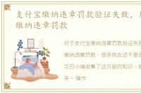 支付宝缴纳违章罚款验证失败，用支付宝缴纳违章罚款