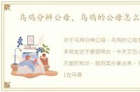 乌鸡分辨公母，乌鸡的公母怎么区别