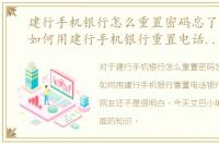 建行手机银行怎么重置密码忘了怎么办，如何用建行手机银行重置电话银行密码