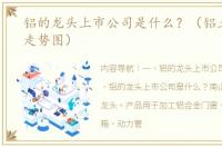 铝的龙头上市公司是什么？（铝土矿价格走势图）