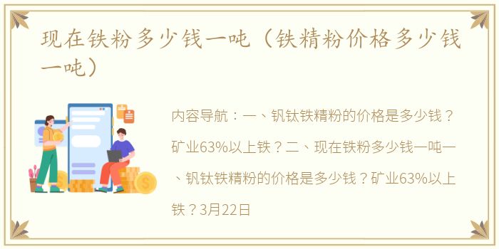 现在铁粉多少钱一吨（铁精粉价格多少钱一吨）