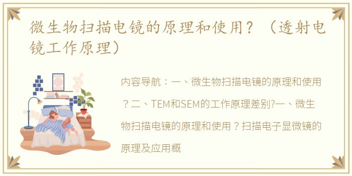 微生物扫描电镜的原理和使用？（透射电镜工作原理）