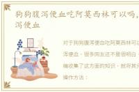 狗狗腹泻便血吃阿莫西林可以吗，狗狗腹泻便血