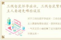 三线仓鼠怀孕症状，三线仓鼠繁殖生育时主人要避免哪些误区