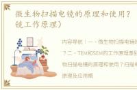 微生物扫描电镜的原理和使用？（透射电镜工作原理）