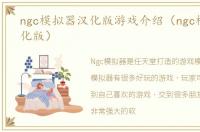 ngc模拟器汉化版游戏介绍（ngc模拟器汉化版）