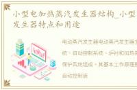 小型电加热蒸汽发生器结构_小型电热蒸汽发生器特点和用途