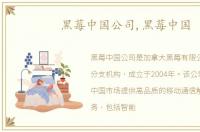 黑莓中国公司,黑莓中国