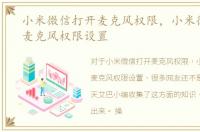 小米微信打开麦克风权限，小米微信访问麦克风权限设置