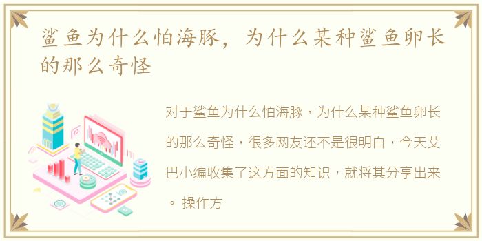 鲨鱼为什么怕海豚，为什么某种鲨鱼卵长的那么奇怪