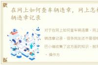 在网上如何查车辆违章，网上怎样查询车辆违章记录