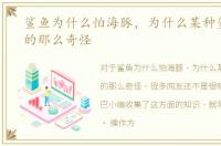 鲨鱼为什么怕海豚，为什么某种鲨鱼卵长的那么奇怪