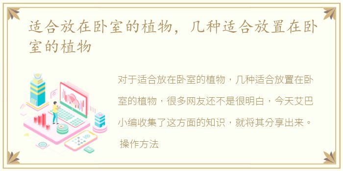 适合放在卧室的植物，几种适合放置在卧室的植物