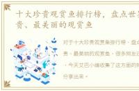 十大珍贵观赏鱼排行榜，盘点世界上最昂贵、最美丽的观赏鱼