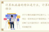 计算机病毒的特征是什么，计算机病毒的特征