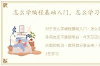 怎么学编程基础入门，怎么学习编程