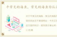 平常见的海鱼，常见的海鱼你认识多少