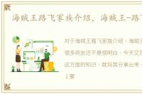 海贼王路飞家族介绍，海贼王-路飞家族