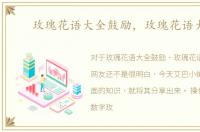 玫瑰花语大全鼓励，玫瑰花语大全