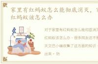 家里有红蚂蚁怎么能彻底消灭，家里出现红蚂蚁该怎么办
