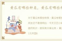 黄瓜有哪些种类，黄瓜有哪些种类