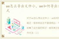 ae怎么导出文件小，ae如何导出文章小格式