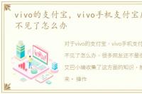vivo的支付宝，vivo手机支付宝应用图标不见了怎么办