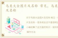 鸟类大全图片及名称 常见，鸟类大全图片及名称