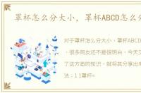 罩杯怎么分大小，罩杯ABCD怎么分大小