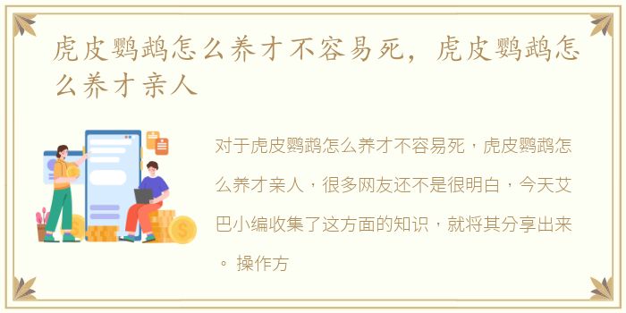 虎皮鹦鹉怎么养才不容易死，虎皮鹦鹉怎么养才亲人